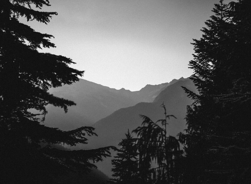Black and White image of a mountain range between pine trees at North Cascades National Park- a stunning location for your Washington elopement