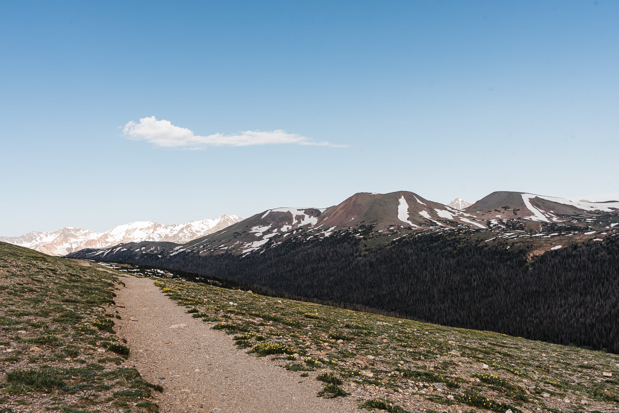 A landscape image of a path beside a mountain range in Rocky Mountain National Park