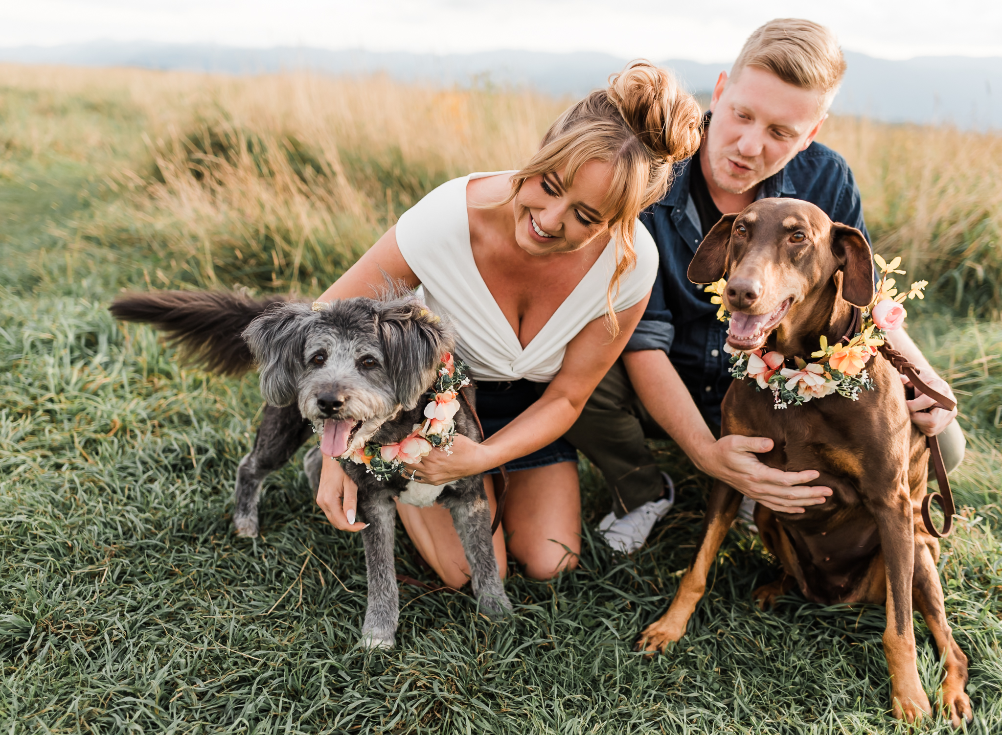 A man and woman sit on a blanket with their dogs and pet them at their engagement session at Max Patch in North Carolina.