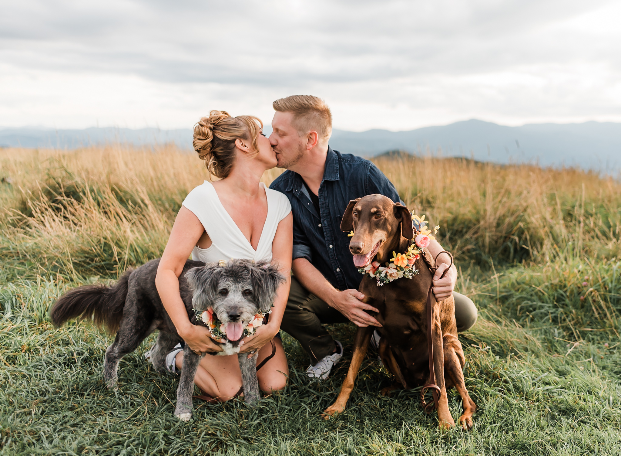 A man and woman sit on a blanket with their dogs and pet them at their engagement session at Max Patch in North Carolina.